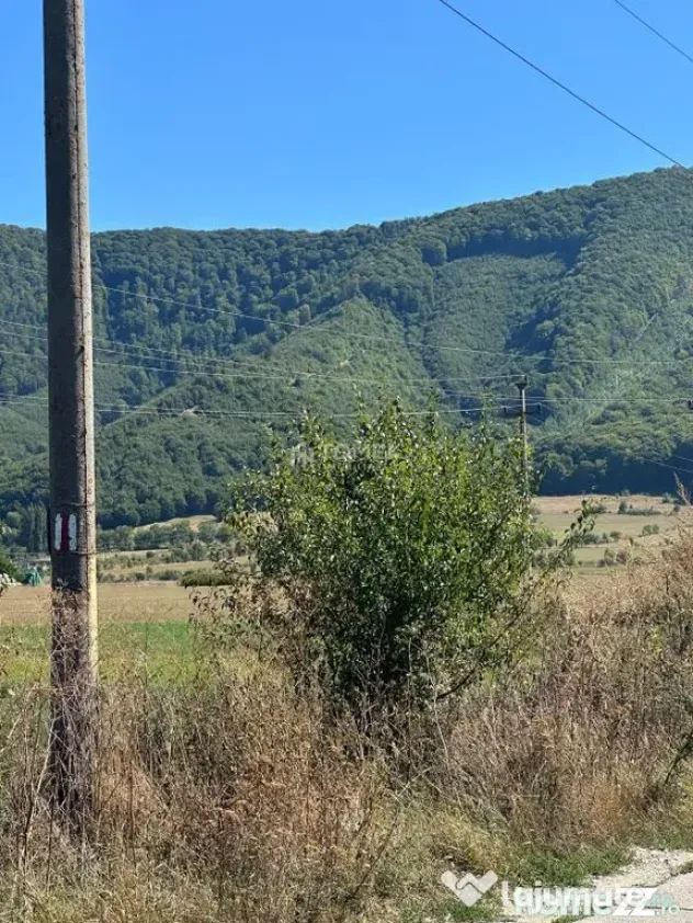 Teren industrial,Cucului-INA-Avicola - Brasov (Brasov)