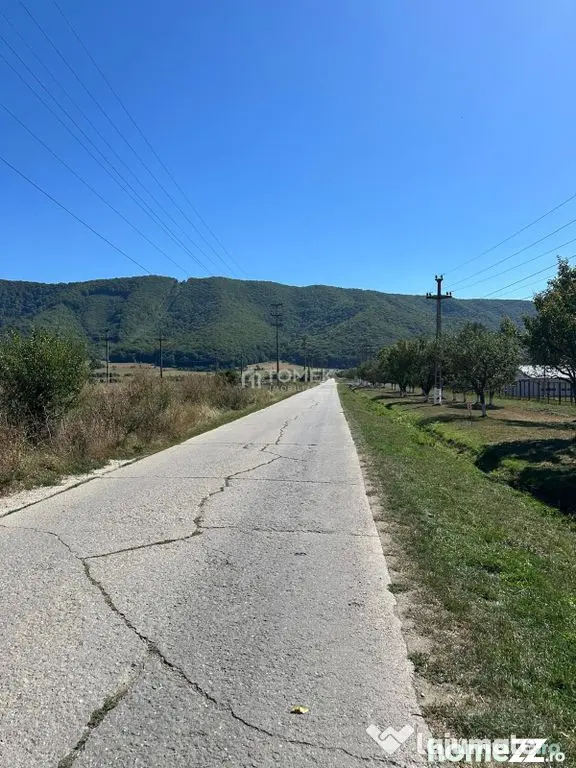 Teren industrial,Cucului-INA-Avicola - Brasov (Brasov)