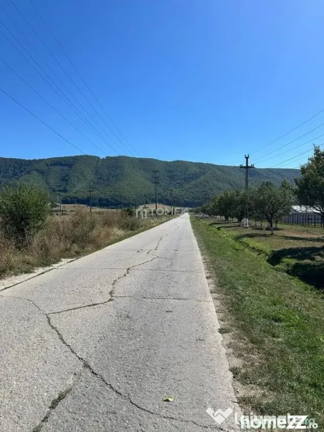 Teren industrial,Cucului-INA-Avicola - Brasov (Brasov)
