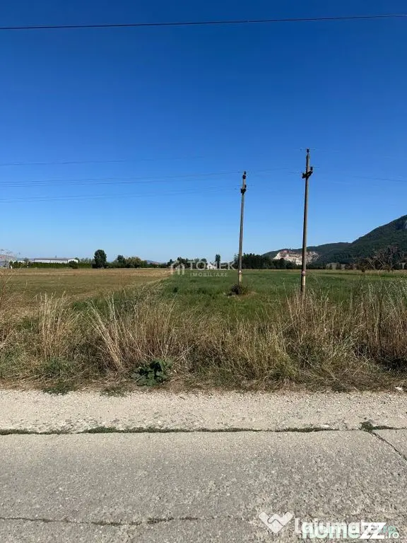 Teren industrial,Cucului-INA-Avicola - Brasov (Brasov)