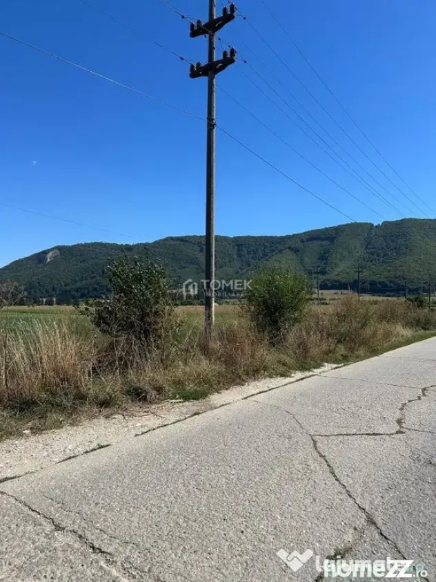 Teren industrial,Cucului-INA-Avicola - Brasov (Brasov)