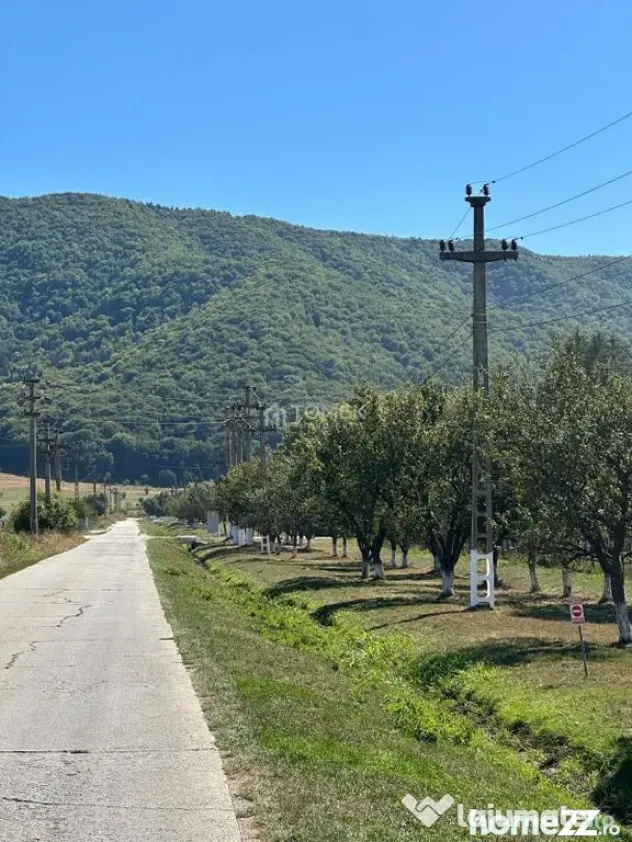 Teren industrial,Cucului-INA-Avicola - Brasov (Brasov)