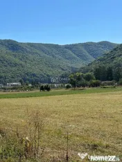 Teren industrial,Cucului-INA-Avicola 