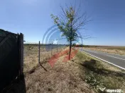 Teren de vanzare/Motoci/Mischii/Dolj