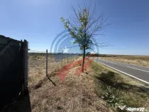 Teren de vanzare/Motoci/Mischii/Dolj