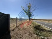 Teren de vanzare/Motoci/Mischii/Dolj