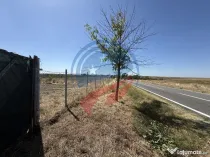 Teren de vanzare/Motoci/Mischii/Dolj