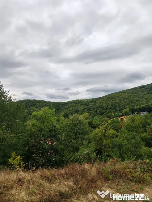 Teren 64 ari în Ulmoasa – investiție turistică, panoram - Ulmoasa (Maramures)