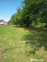 Teren de vânzare în Brebu – 1.206 mp 