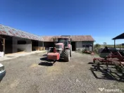Fermă de vânzare în Frunzeni, județul Mureș – 70 ha t