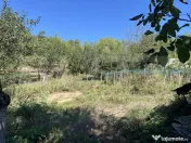 Fermă de vânzare în Frunzeni, județul Mureș – 70 ha t