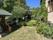 Fermă de vânzare în Frunzeni, județul Mureș – 70 ha t