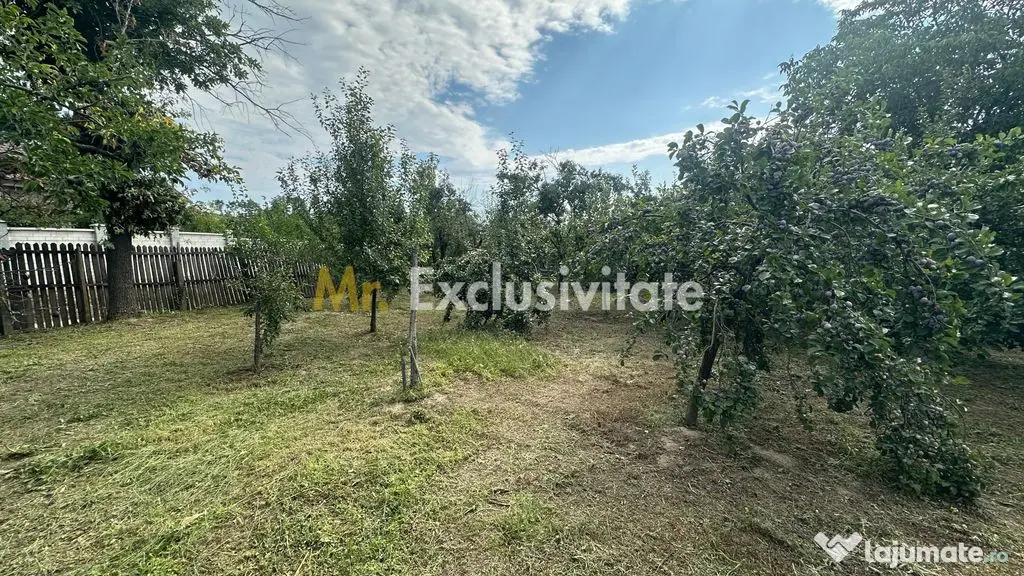 Casă bătrânească și teren generos 1172 mp, Pădureți (25 km de Pitești) - Padureti (Arges)