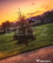 Casă de vânzare, Burdujeni, 15.7ari teren. 