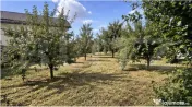 Teren intravilan 432 mp Albesti