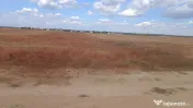 Teren intravilan, 7000 mp, zona Preajba noua-Damila 