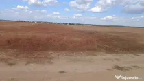 Teren intravilan, 7000 mp, zona Preajba noua-Damila