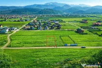 FILM! 700 mp teren intravilan, recomandat constructie casa