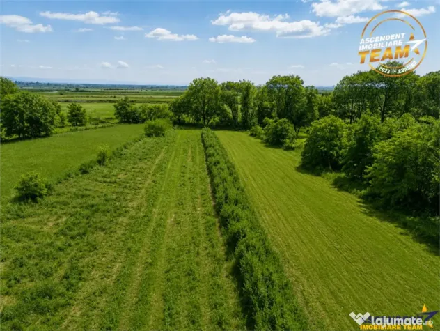 FILM! 4.900mp teren intravilan, cu casa, in Tufalau, Covasna - Tufalau (Covasna)