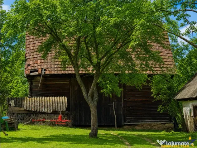 FILM! 4.900mp teren intravilan, cu casa, in Tufalau, Covasna - Tufalau (Covasna)