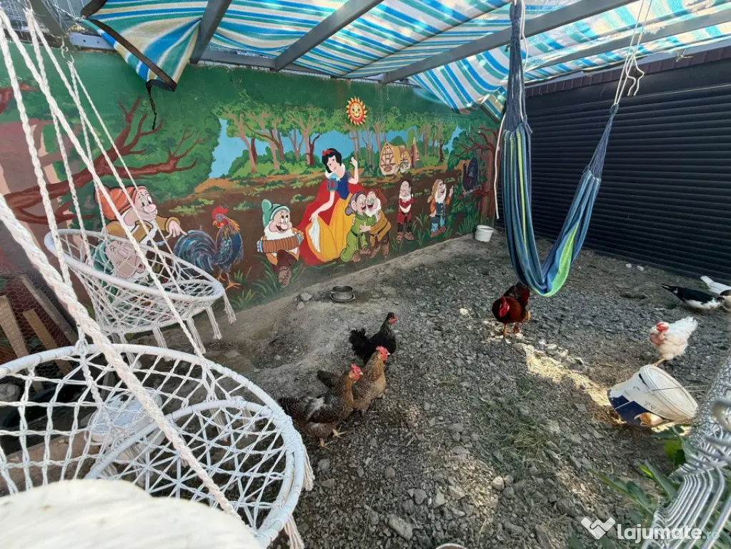 ZONA GLORIEI-CASA 2 CAMERE , RENOVATA 2025 - Tulcea (Tulcea)