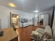 Apartament mobilat, strada Campului 