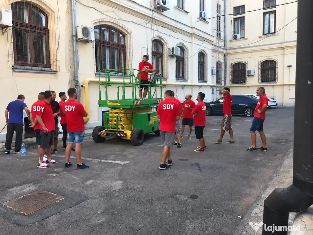 Mutari apartamente relocari firme