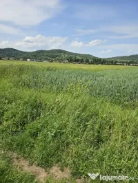 Teren intravilan