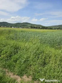 Teren intravilan