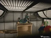 Vand voliera Montana Madeira II Antik (colivie) si papagali Agapornis Personata