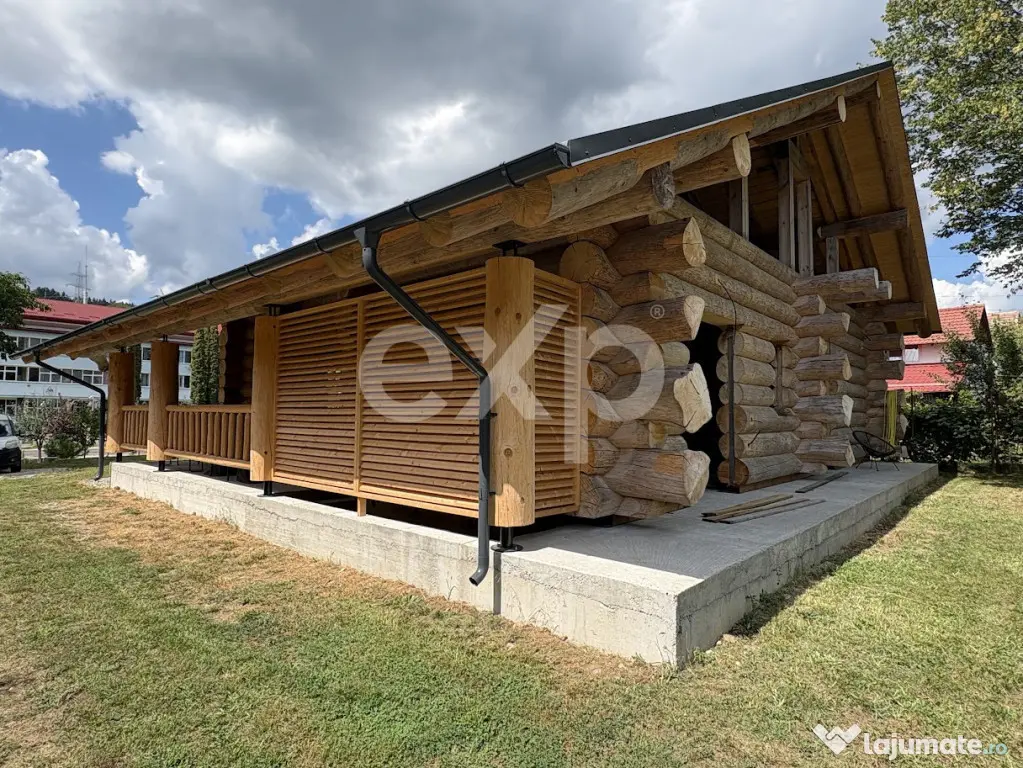 PROPRIETATE PREMIUM | TRANSFĂGĂRĂȘAN | ACCES DIRECT LA R - Capatanenii Pamanteni (Arges)