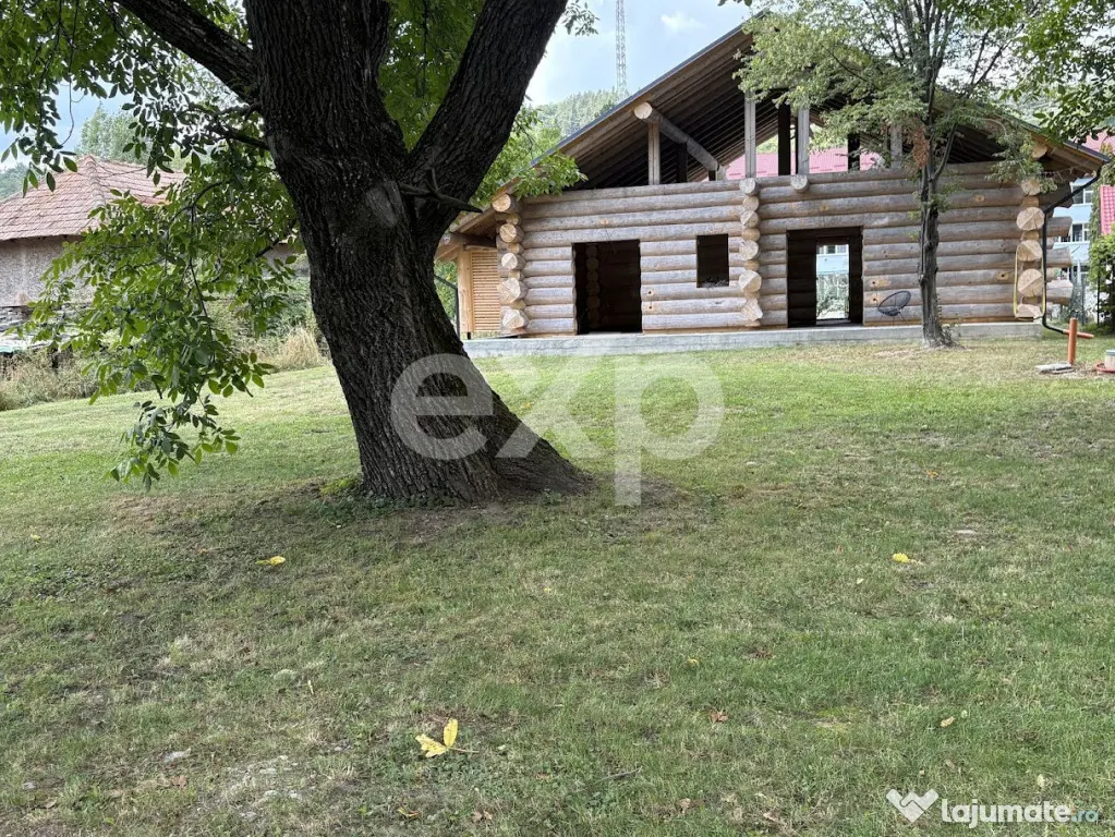 PROPRIETATE PREMIUM | TRANSFĂGĂRĂȘAN | ACCES DIRECT LA R - Capatanenii Pamanteni (Arges)