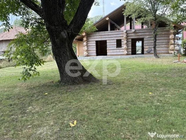PROPRIETATE PREMIUM | TRANSFĂGĂRĂȘAN | ACCES DIRECT LA R - Capatanenii Pamanteni (Arges)
