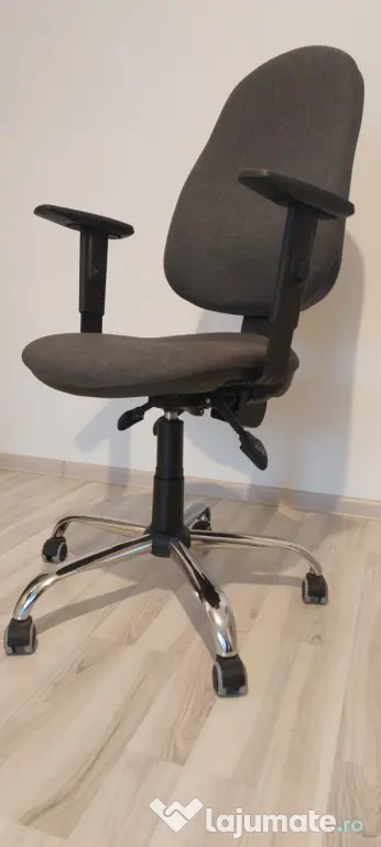 Scaun de birou Ergonomic FELIX ASYN
