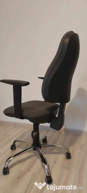 Scaun de birou Ergonomic FELIX ASYN