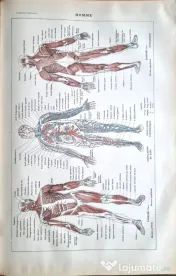 "Larousse Universel en 2 volumes  editie de colectie 1922 