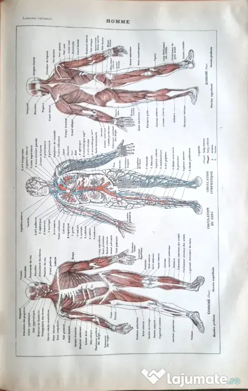 "Larousse Universel en 2 volumes editie de colectie 1922