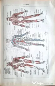 "Larousse Universel en 2 volumes  editie de colectie 1922 