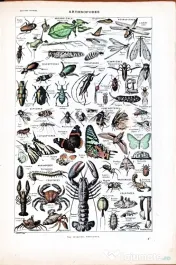"Larousse Universel en 2 volumes  editie de colectie 1922 