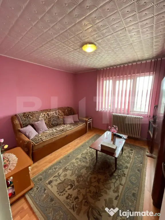 Apartament 2 camere decomandat- Bulevardul Dacia - Hunedoara (Hunedoara)