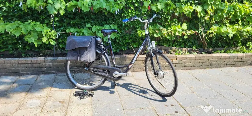 Bicicleta electrica