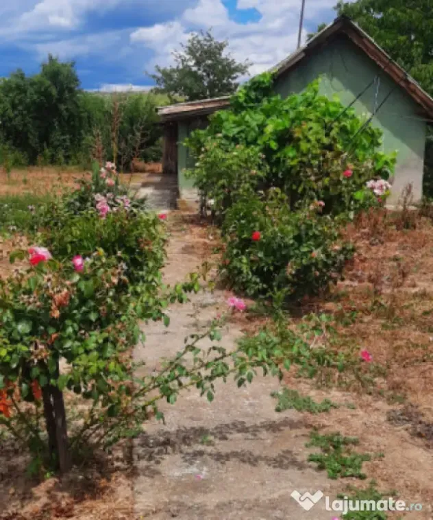 Casă bătrânească cu teren generos de 1.239 mp în Brăde - Craiova (Dolj)