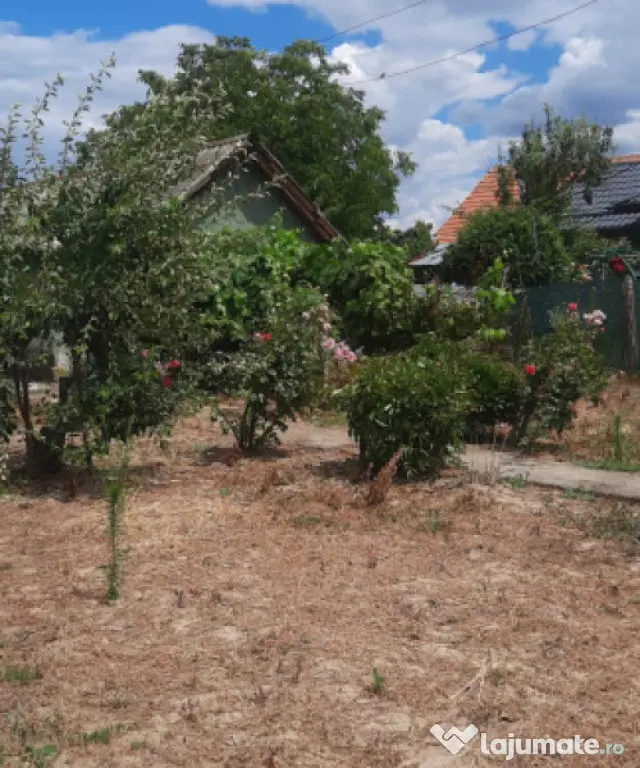 Casă bătrânească cu teren generos de 1.239 mp în Brăde - Craiova (Dolj)