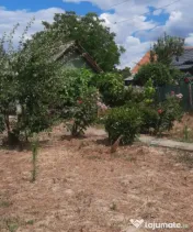 Casă bătrânească cu teren generos de 1.239 mp în Brăde 