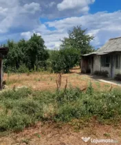Casă bătrânească cu teren generos de 1.239 mp în Brăde 