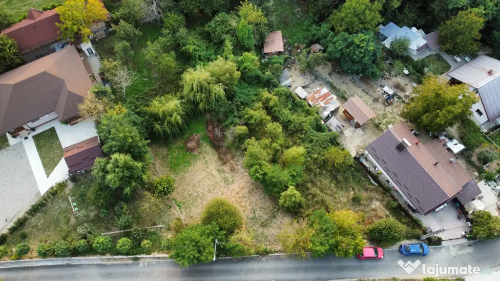 TEREN - GORANU, 605 MP - Ramnicu Valcea (Valcea)