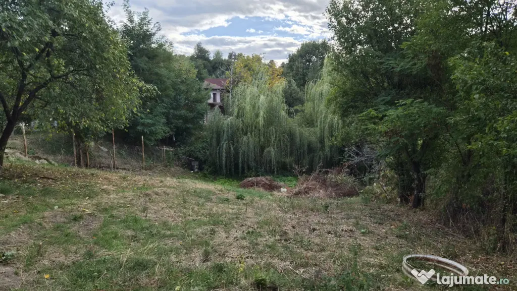 TEREN - GORANU, 605 MP - Ramnicu Valcea (Valcea)