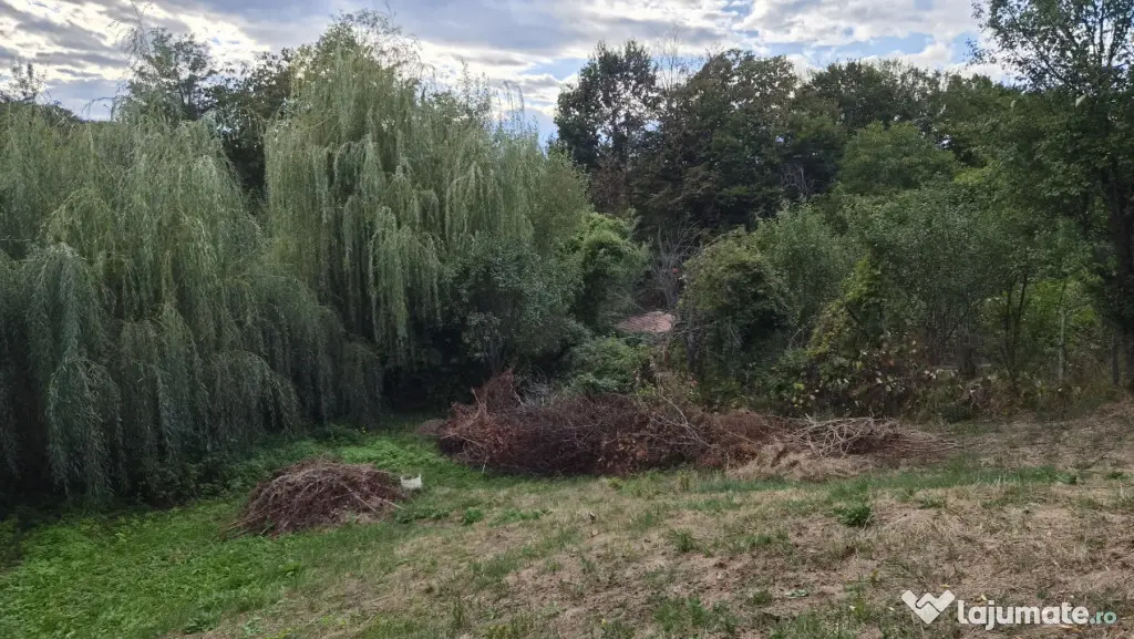 TEREN - GORANU, 605 MP - Ramnicu Valcea (Valcea)