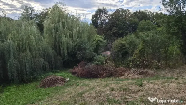 TEREN - GORANU, 605 MP - Ramnicu Valcea (Valcea)