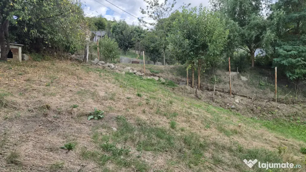 TEREN - GORANU, 605 MP - Ramnicu Valcea (Valcea)